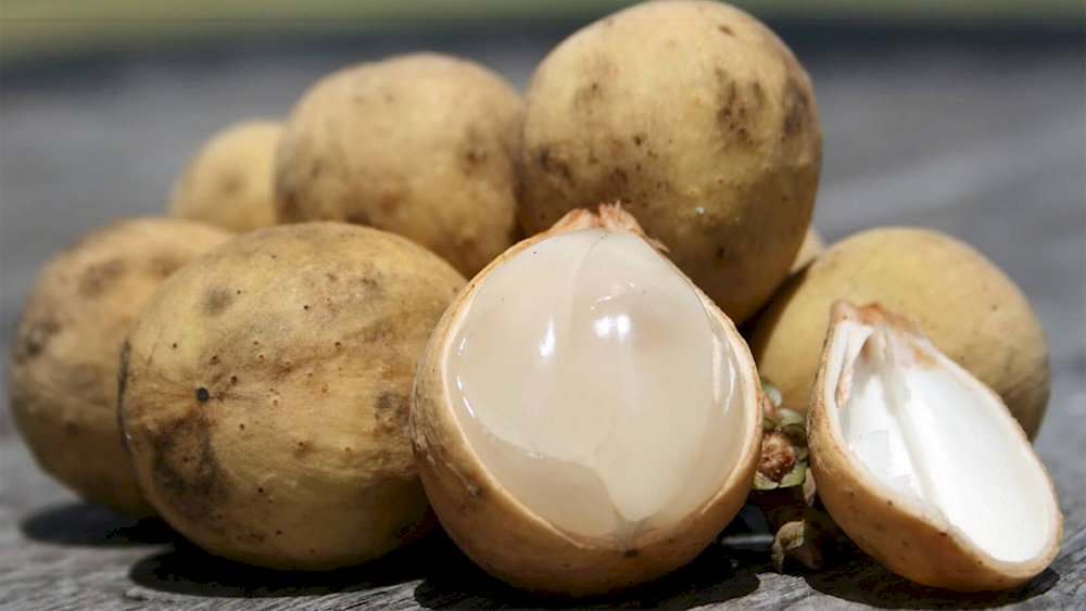 Langsat is widely and mostly grown in the southern Vietnam